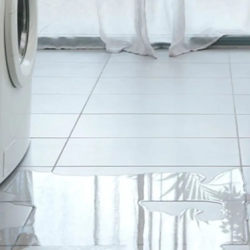 Appliance Leak Cleanup in Trinity, AL