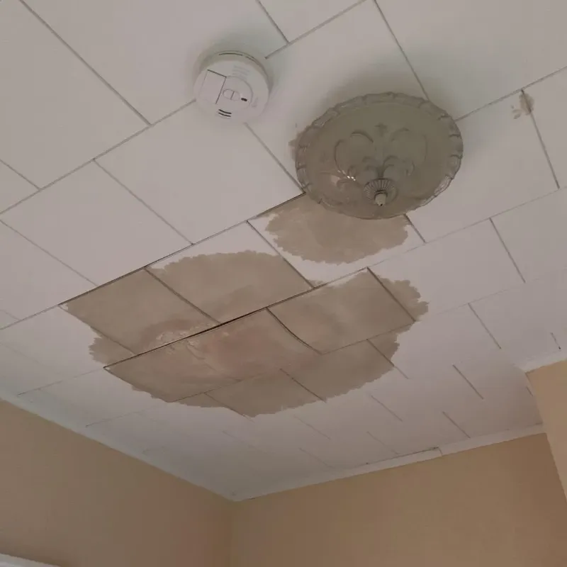 Ceiling Water Damage Repair in Trinity, AL