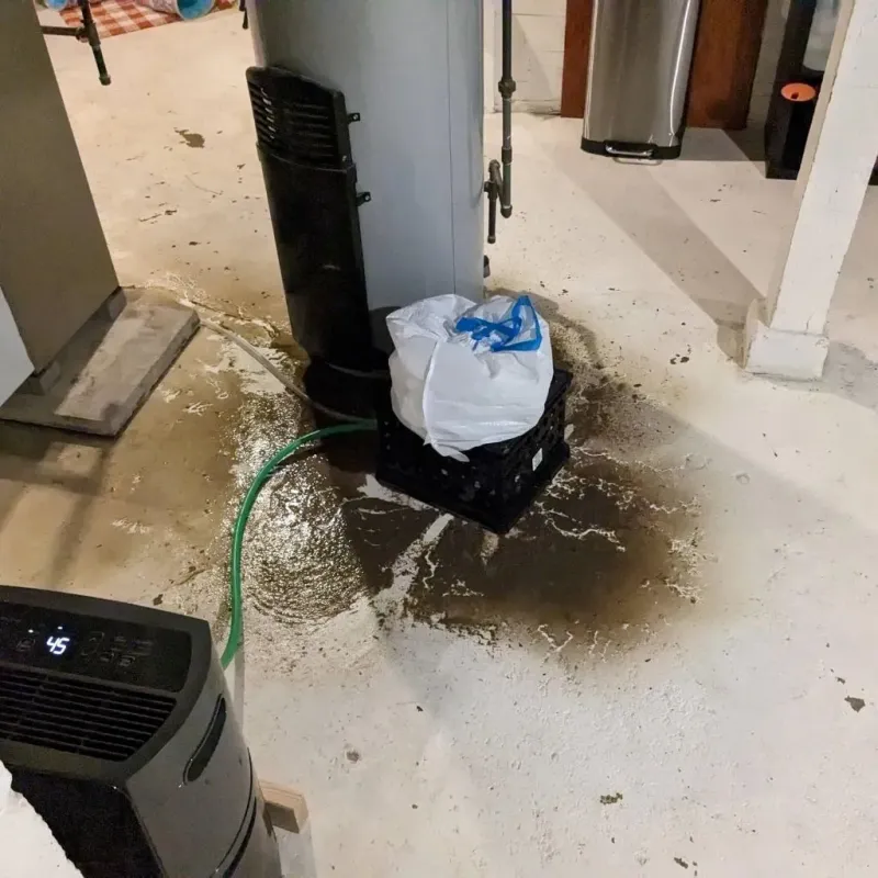 Sewage Backup Cleanup Service in Trinity, AL